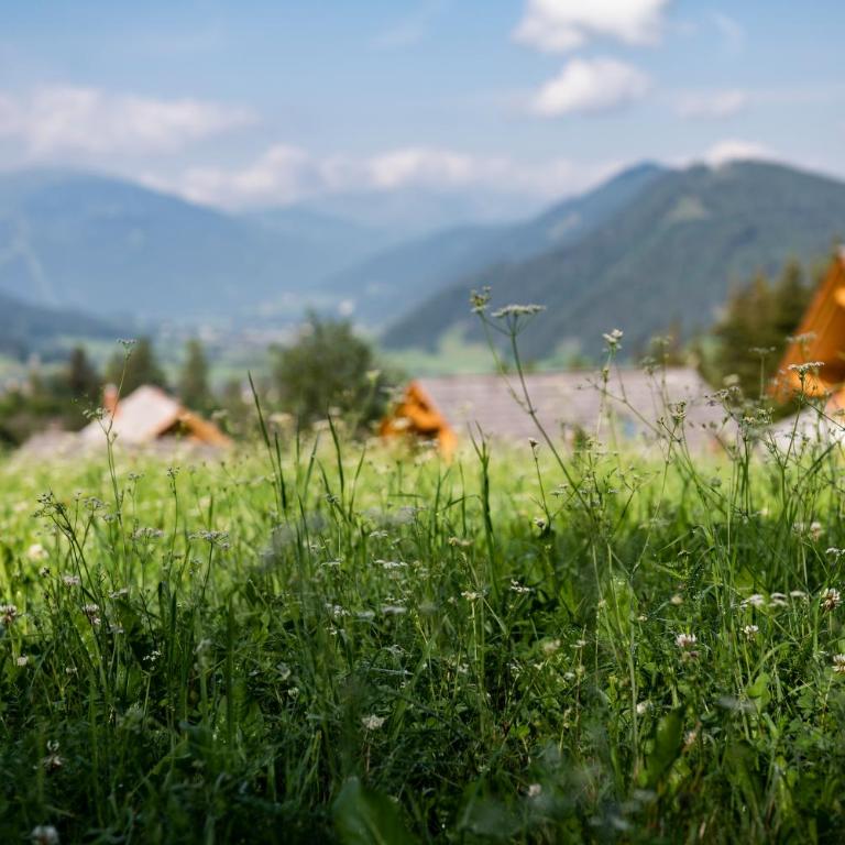Lerchpeuntgut Alpenfreud Apartments - Apartment mit 2 Schlafzimmern - 31