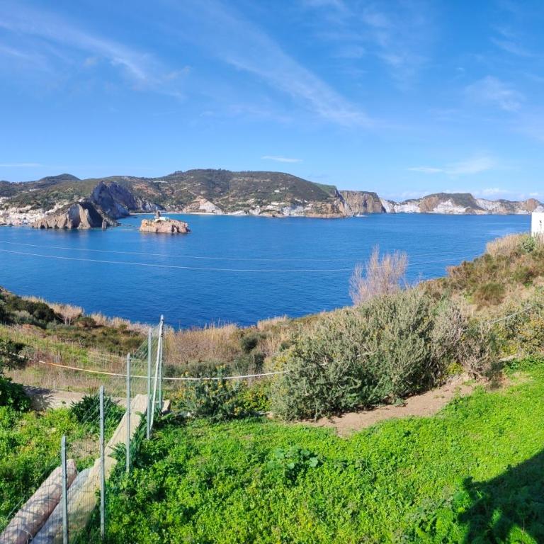 VisitPonza - Villa Faro - Villa - 25