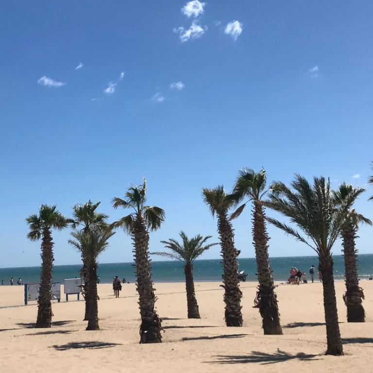 T2 Miami Beach - Appartement - Vue sur Mer - 32