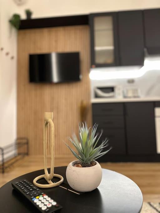 La Casa di Marlú - Gorgeous flat in Catania centre - One-Bedroom Apartment - 7