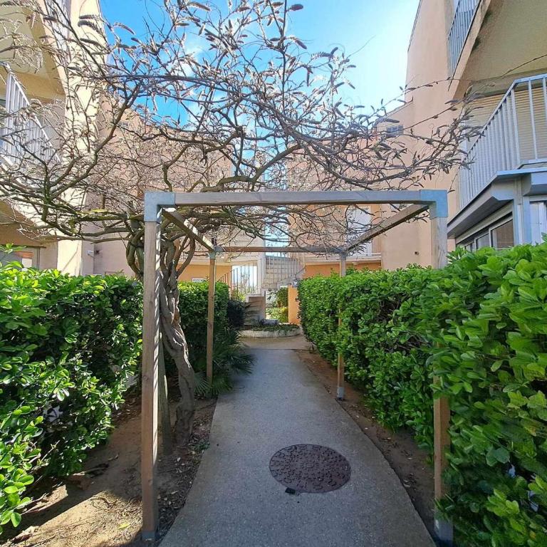 Appartement cosy 2 pièces - jardin privé, accès direct plage, animaux acceptés ! - FR-1-326-801 - Appartement - 15