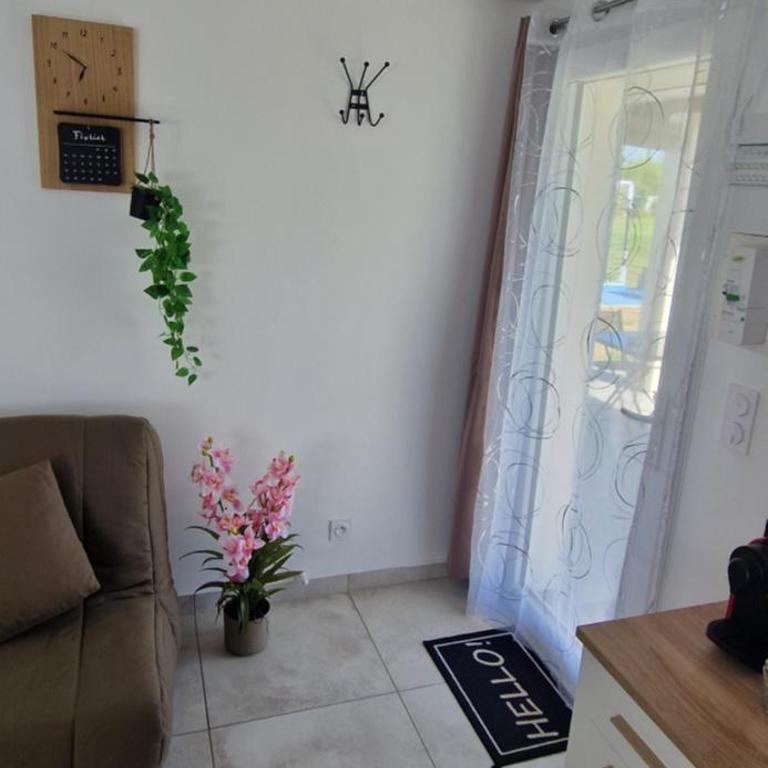 Studio plein Sud au calme - Studio - 10