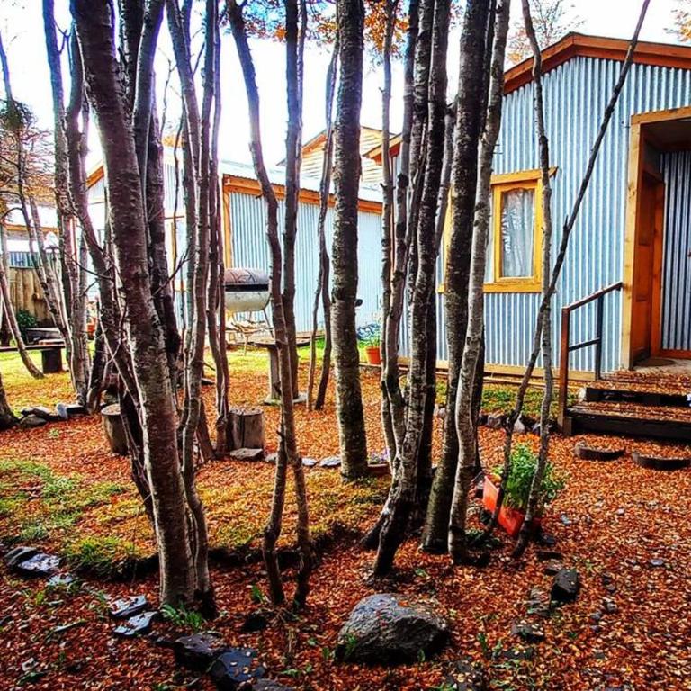 La Casita de Tolhuin - Casa con 1 dormitorio - 2