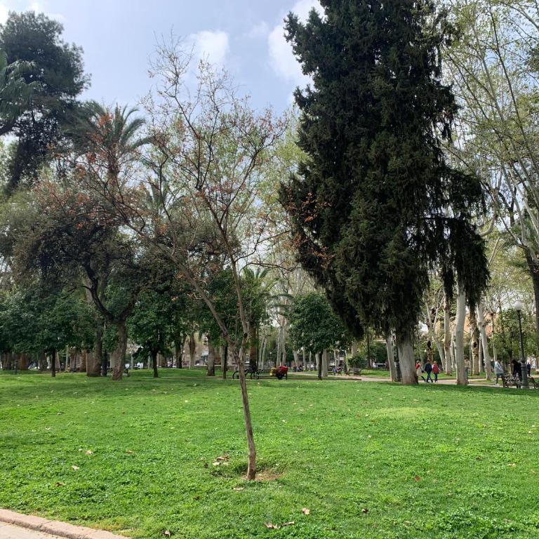 Bonito, céntrico y fresco apartamento Santa Marina - Apartamento de 1 dormitorio - 13