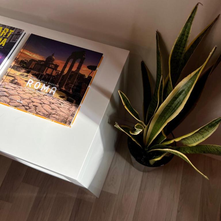 Charming Navona - Suite Familiare - 26