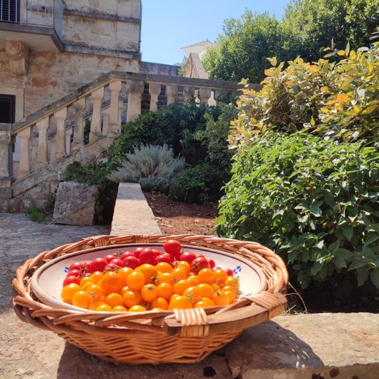 Villa Ostuni - Villa - 33