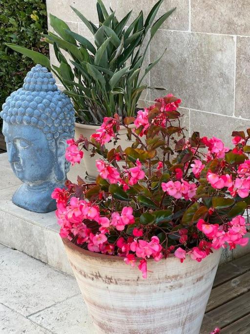 Exclusive Luxury Villa in Valbonne - Villa - 60