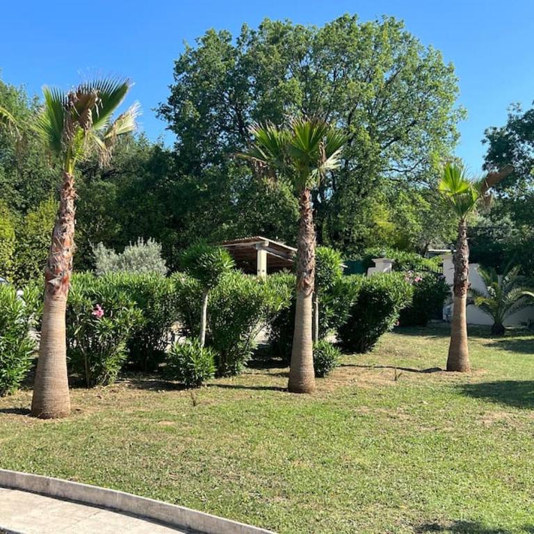 Exclusive Luxury Villa in Valbonne - Villa - 70