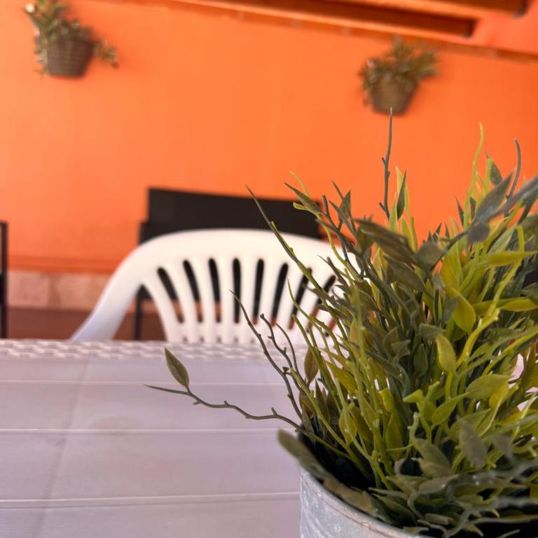 Casa Vacanze Filippa - Casa Vacanze - 20