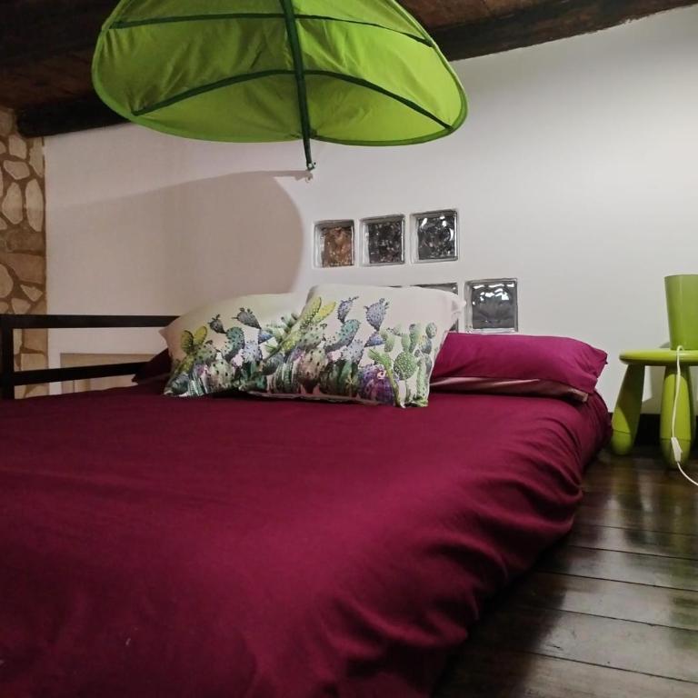 Cactus 31 - Appartamento Monolocale - 14