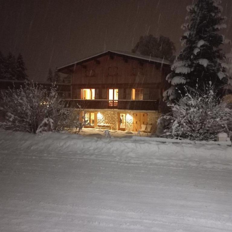 Rez-de-jardin ensoleillé, 3 pièces, proche centre et pistes, animaux acceptés - FR-1-464-206 - Apartamento - 12