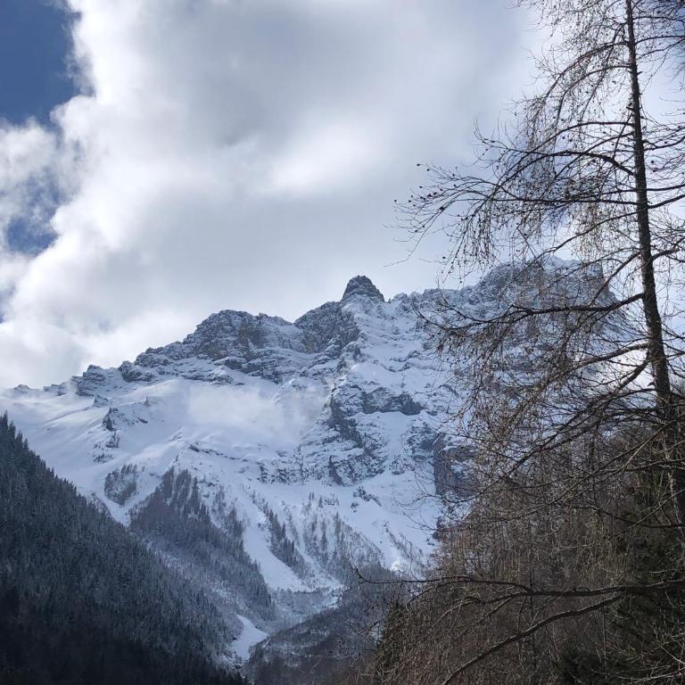 Chalet Mex 15 - Chalet con 2 Camere da Letto - 29