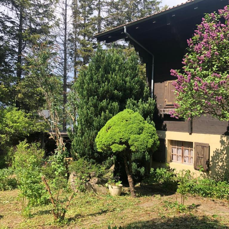 Chalet Mex 15 - Chalet con 2 Camere da Letto - 9