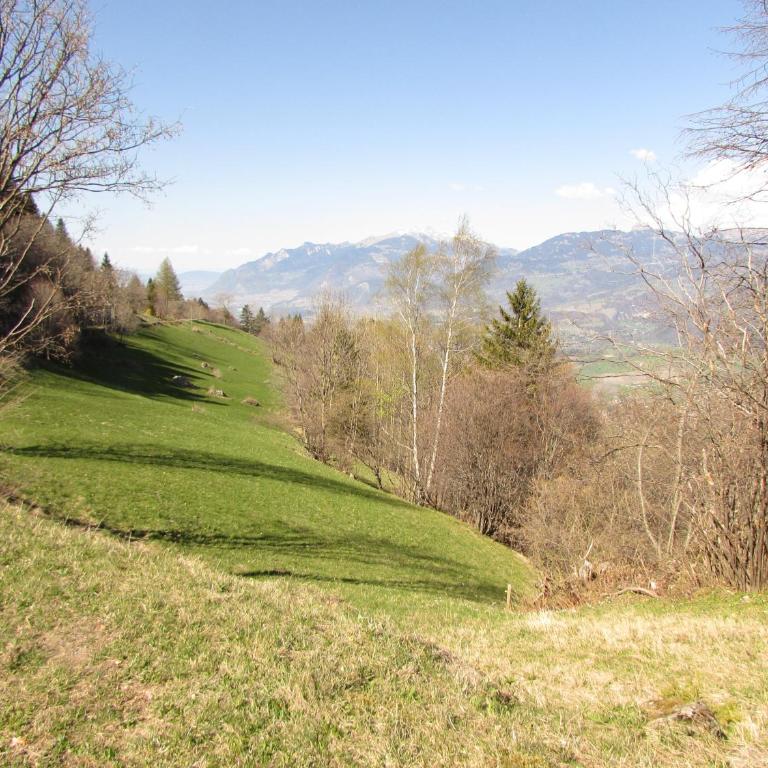Chalet Mex 15 - Chalet con 2 Camere da Letto - 25