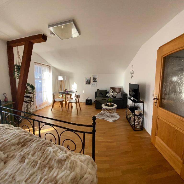 NEUES ruhiges Apartment, Bergblick, Stellplatz - Apartment mit 1 Schlafzimmer - 10