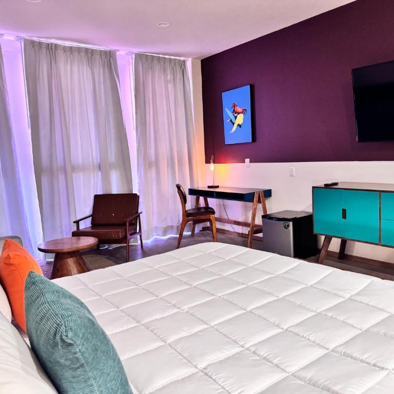 Hotel Olá Chapultepec - Junior Suite - 5