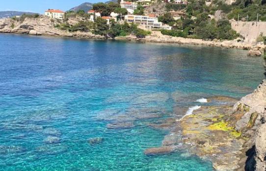 Luxury Penthouse Villa Belle Epoque Monaco GP - Appartement 1 Chambre - 36
