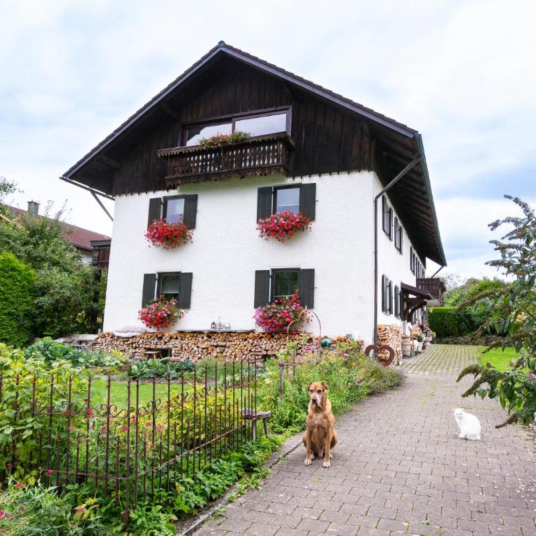 Bei den Hartmanns - Apartment mit 2 Schlafzimmern - 4