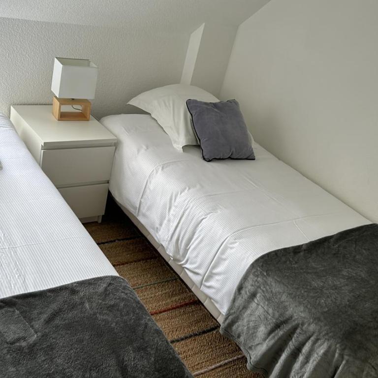 Bel Appartement Saint-Malo la Varde - Apartamento de 2 dormitorios - 7
