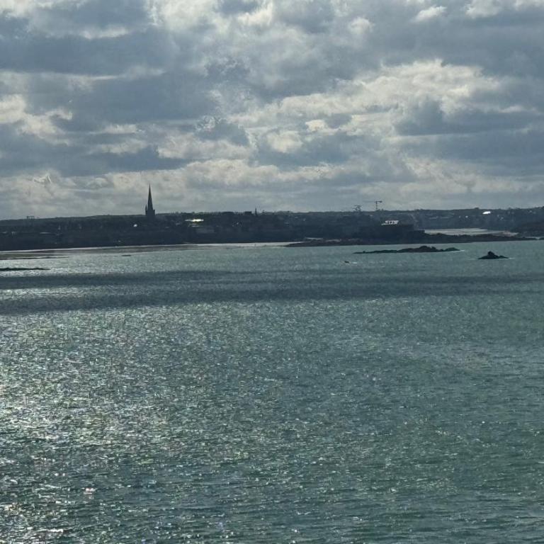 Bel Appartement Saint-Malo la Varde - Apartamento de 2 dormitorios - 12