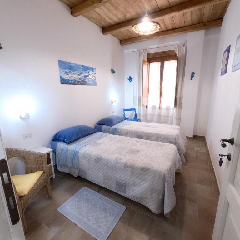 Apartment Conchiglie 2 - Appartamento - 17
