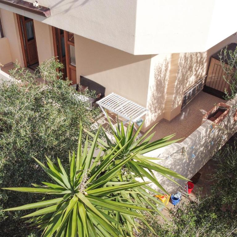 Apartment Conchiglie 2 - Appartamento - 22
