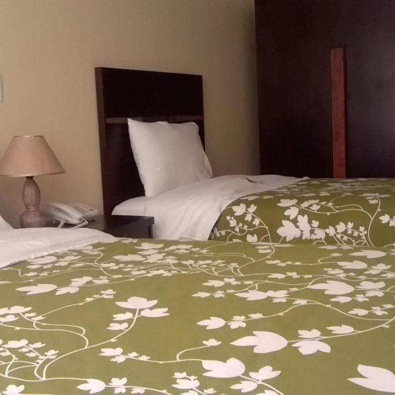 Hotel Joshed Imperial - Habitación Doble Estándar con 2 camas - 2