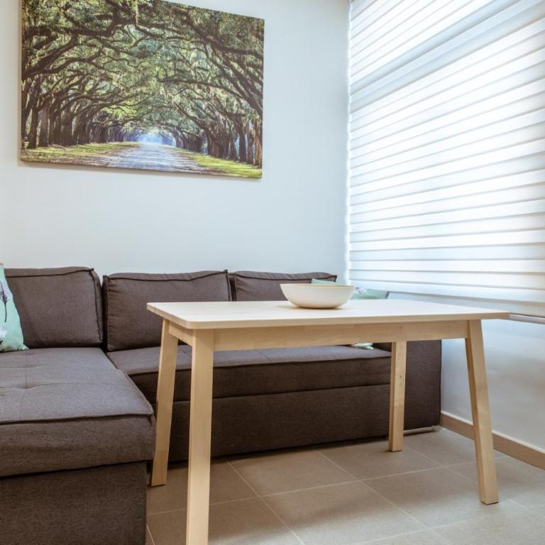 Céntrico apartamento movilidad reducida - Apartamento - Planta baja - 12