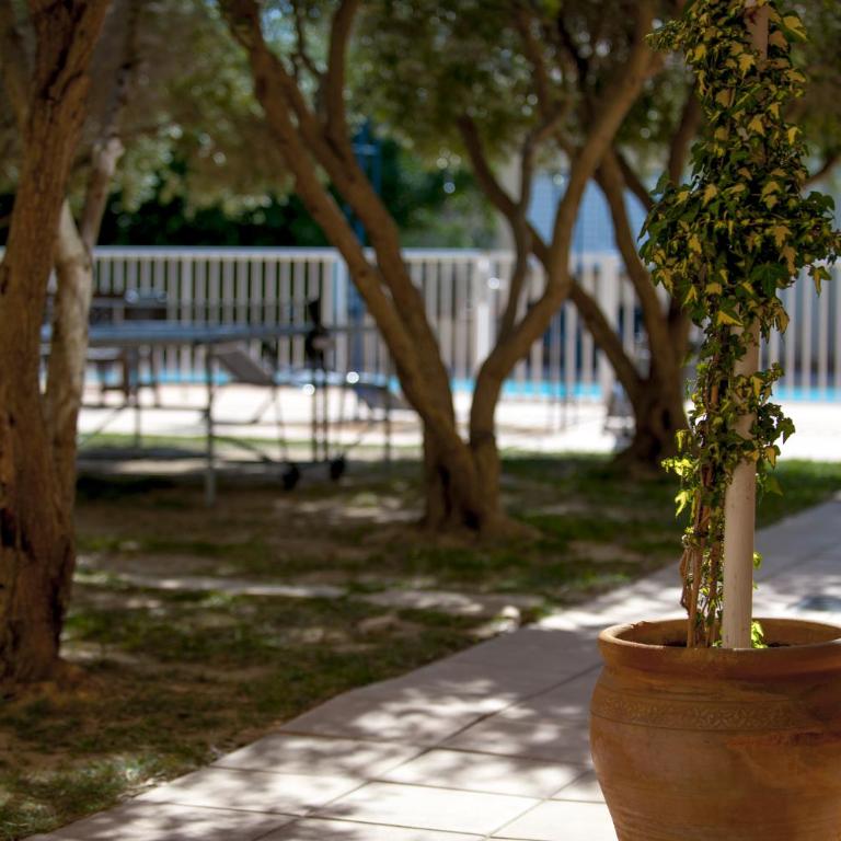 Hôtel Le Leukos - Studio (2 Adults) With Unfurnished Juliet Balcony or Terrace - 18
