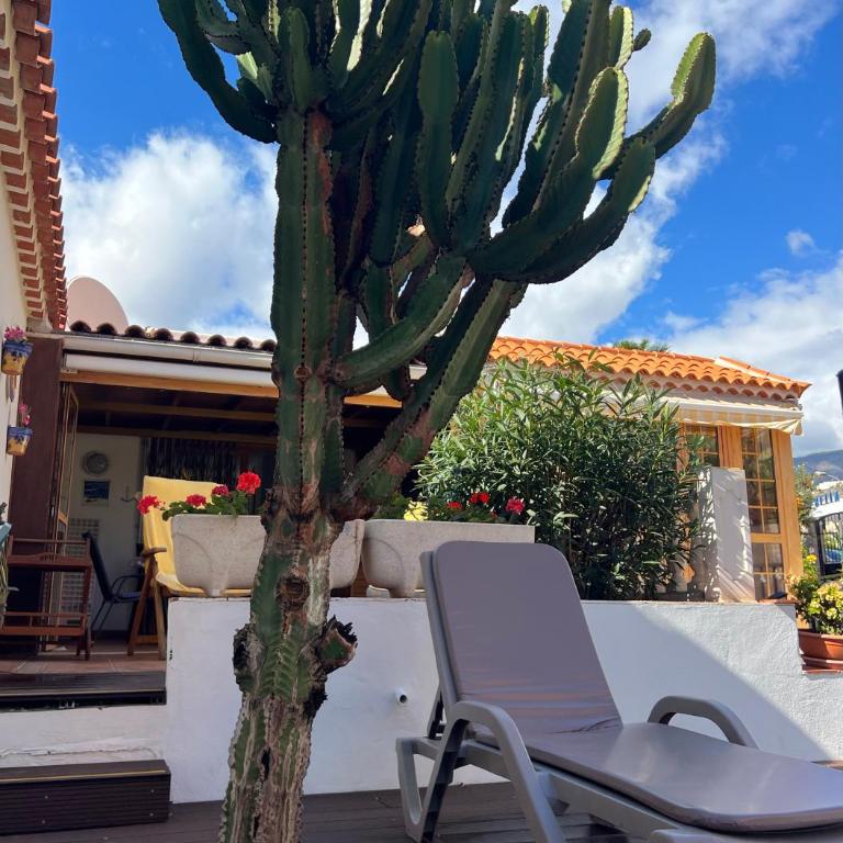 CACTUS's HOUSE, 150 m beach, 1 bdr, 4 guests, wifi, Netflix, - Deluxe Bungalow mit Gartenblick - 5