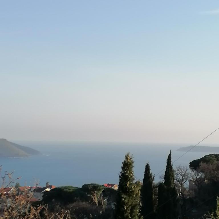 House Leana Herceg Novi - Villa with Sea View - 4