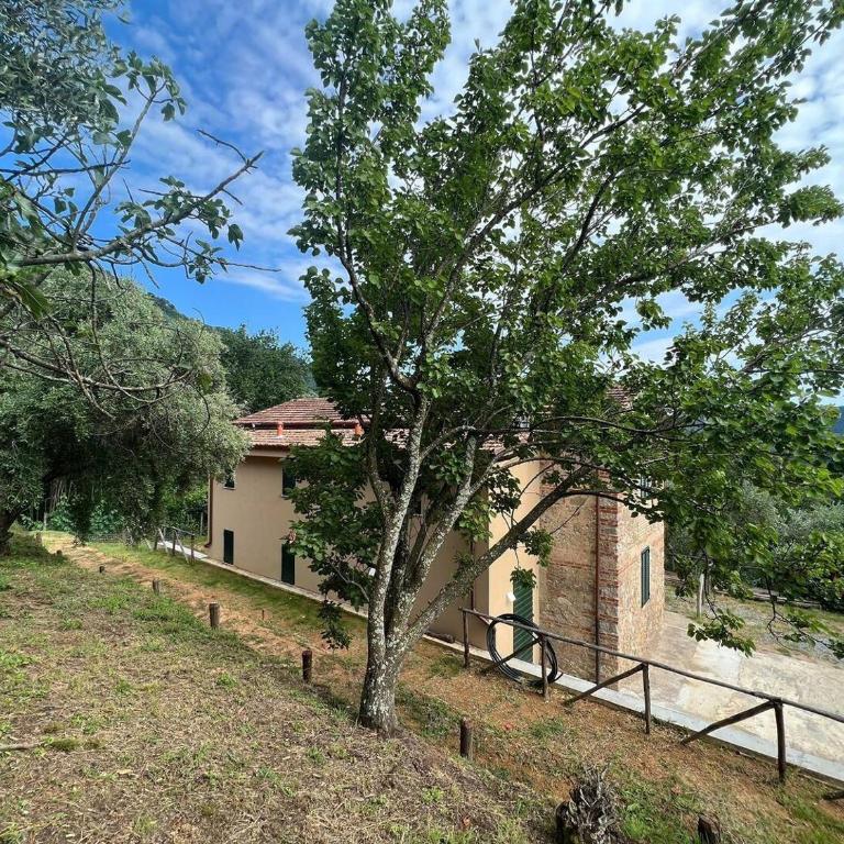 Casale alla Ripa - Villa con 3 Camere da Letto - 29