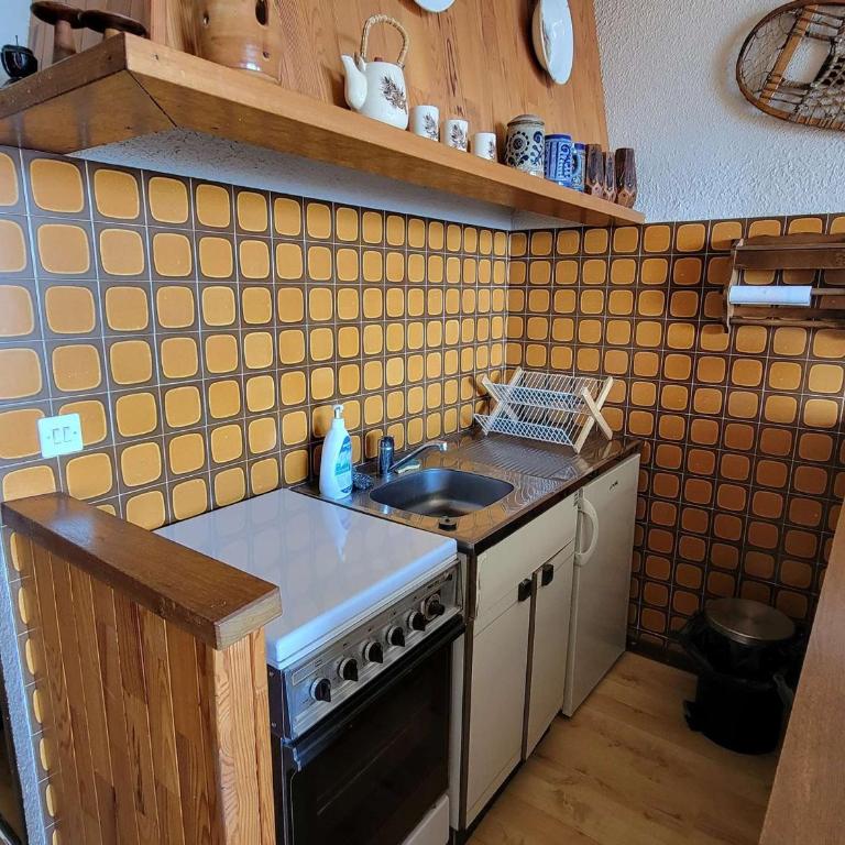 Studio 4 pers - Ski/Randonnées à pied - Balcon Sud - FR-1-393-141 - Estudio - 10