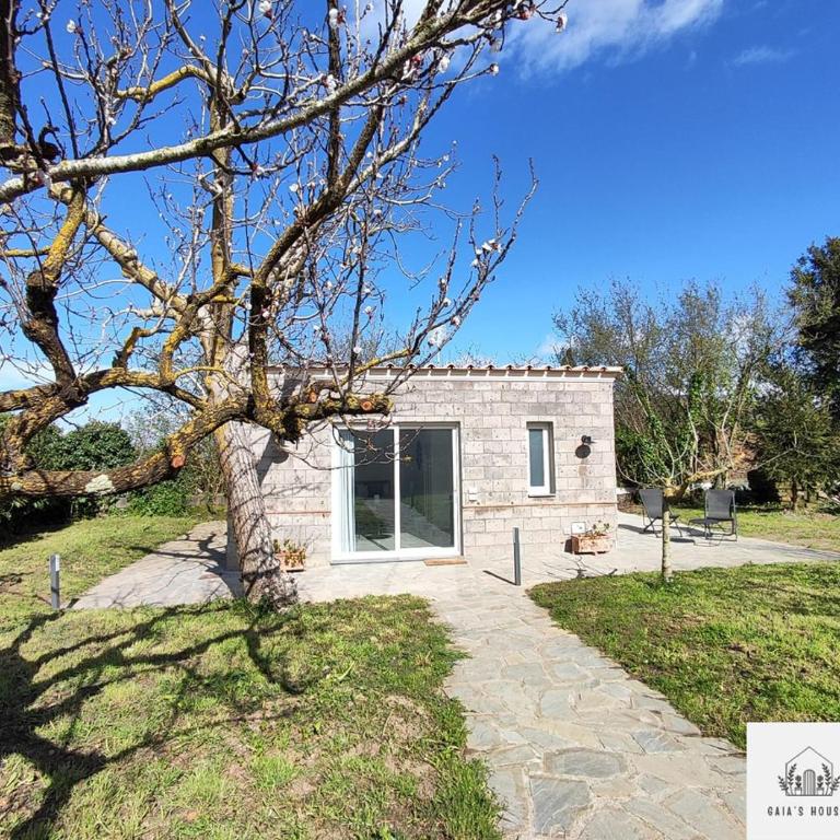 Gaia's House - Casa Vacanze - 4