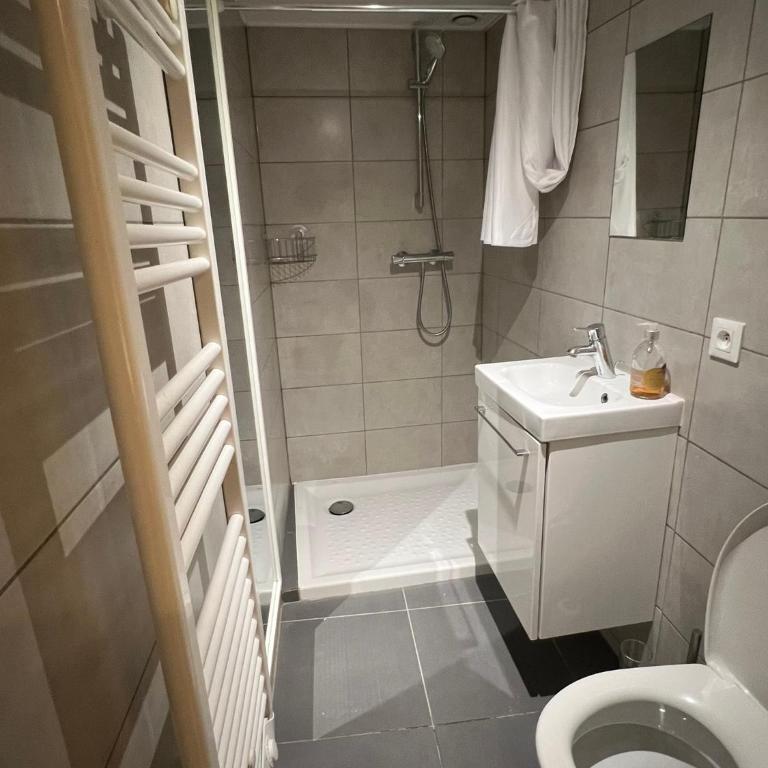 Le zénith vieille ville d'Annecy - Appartamento con 1 Camera da Letto - 19