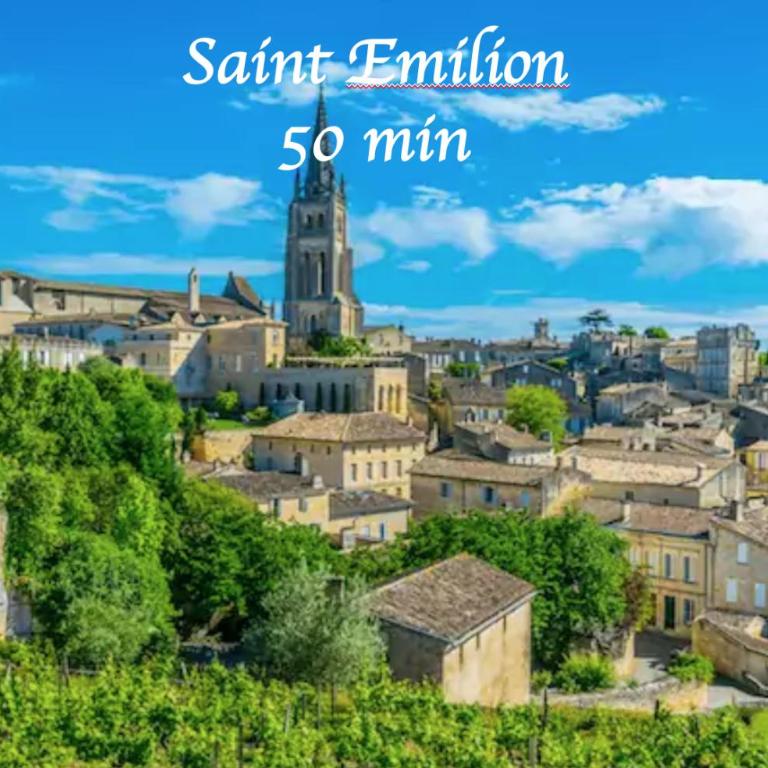 Studio cosy wifi terrasse CHU-Cite administrative-Primrose - Appartement 1 Chambre - 9