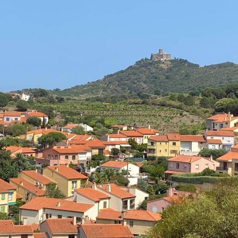 Collioure, le village préféré des Français - Apartment mit 2 Schlafzimmern - 5