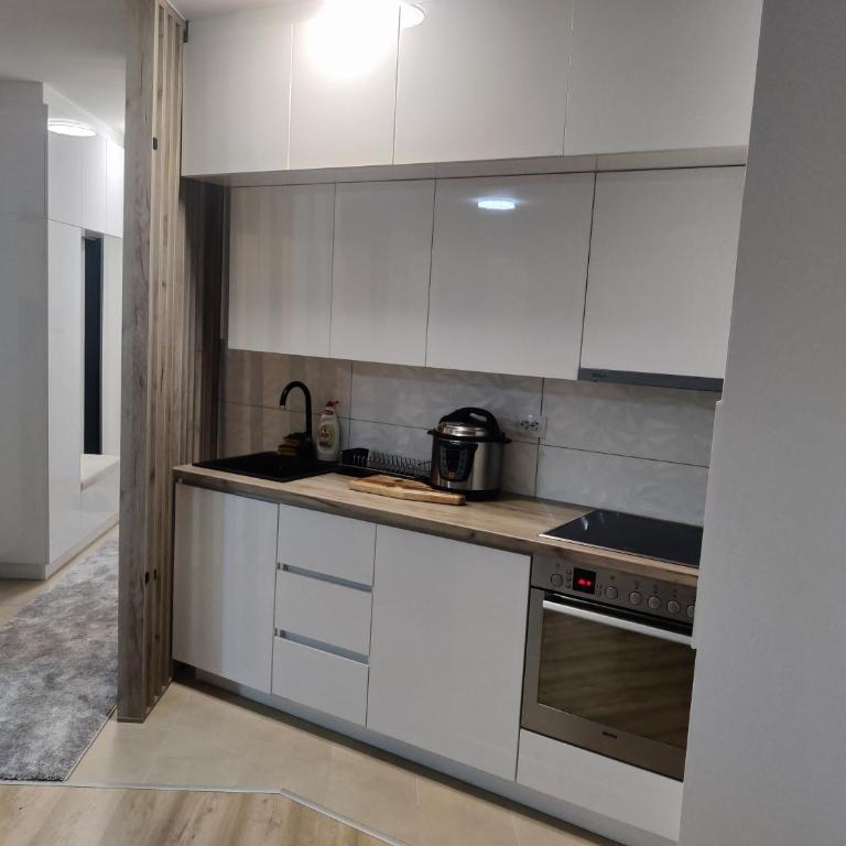 Apartman Sofija - Apartman sa 1 Spavaćom Sobom - 20