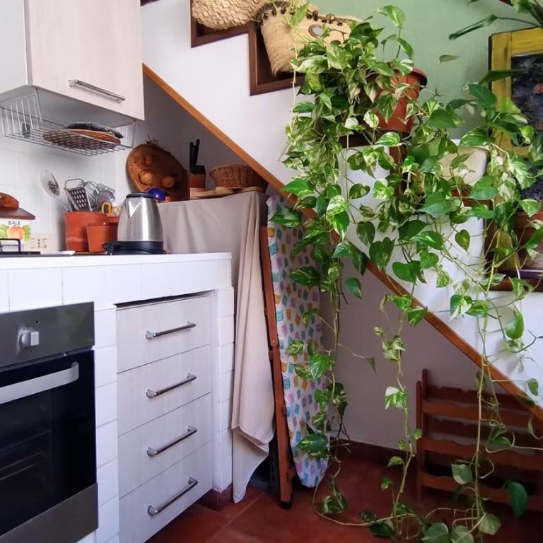 Appartamenti Olivuzza - Apartment with Balcony - 17
