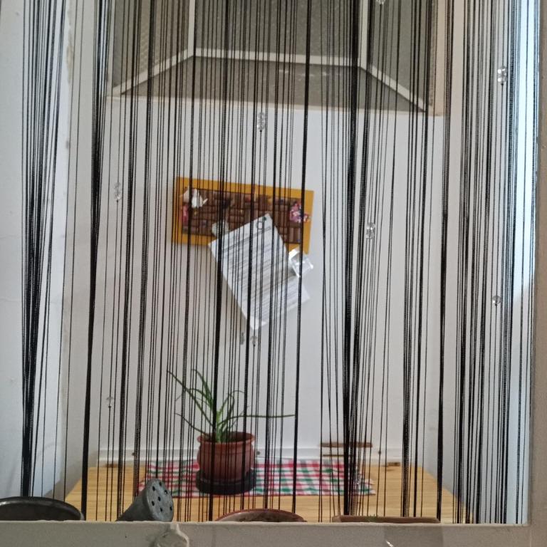 Petit Bear - Apartamento de 2 dormitorios - 3