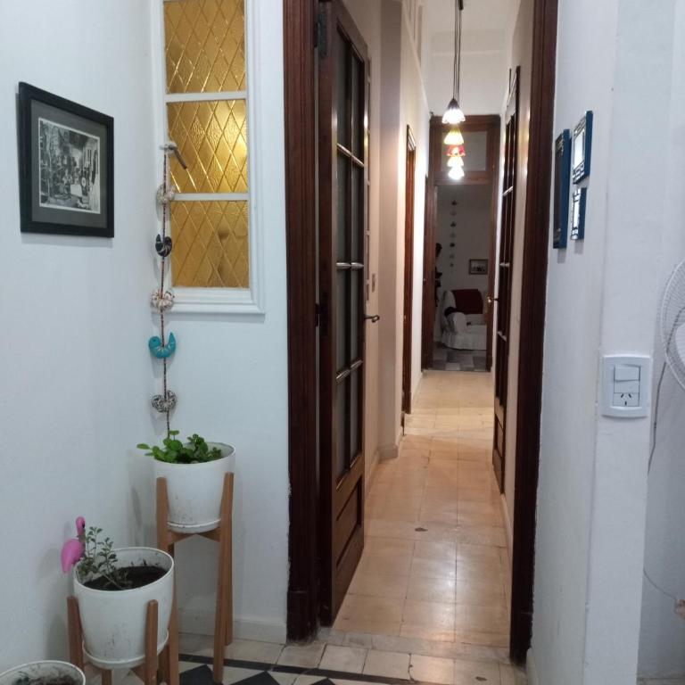 Petit Bear - Apartamento de 2 dormitorios - 2