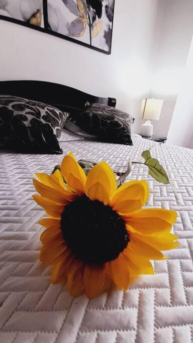 Apartamento Turístico En Calarcá Quindío a 10 min de Armenia - Apartamento de 2 dormitorios - 10