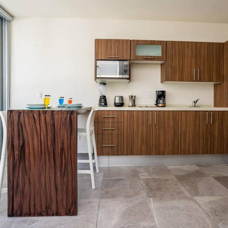 Suite de lujo 1 hab. Depto. 303 - Apartamento de 1 dormitorio - 24