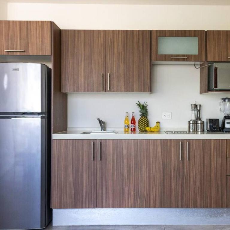 Suite de lujo 1 Hab. Depto. 301 - Apartamento de 1 dormitorio - 3
