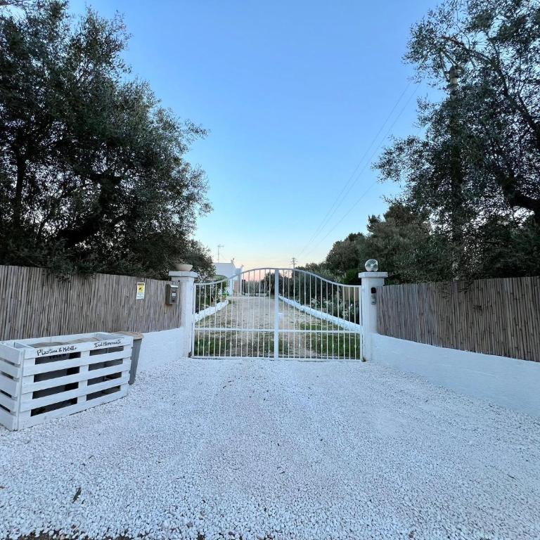Villa 32 Ostuni - Charming House with Pool - Villa with Private Pool - 61