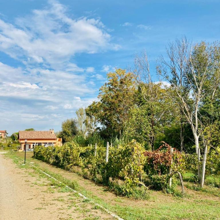 Villa Bubù, Appartamento Country-chic - Casa con 1 Camera da Letto - 29