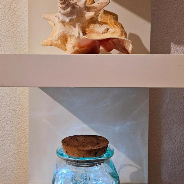 Les pieds dans l'eau - Appartement 1 Chambre - 5