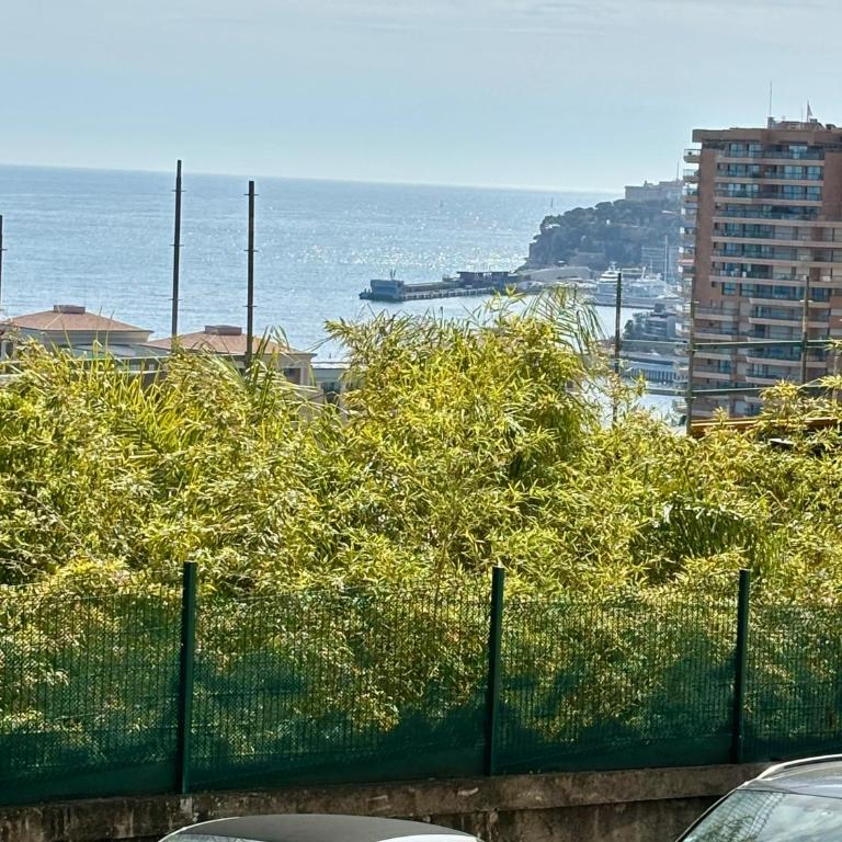 STUDIO near Monaco sea view balcony - Appartement 1 Chambre - 10