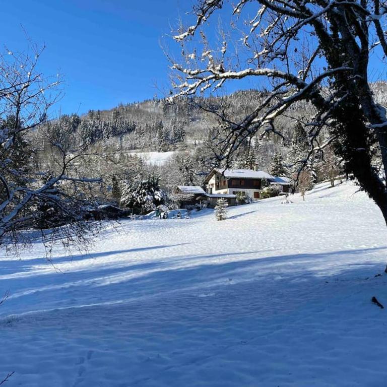 Maisonnette dans la vallée verte - Appartement 1 Chambre - 16