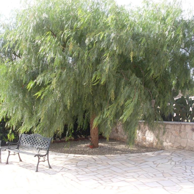 Villa Mafalda - Appartamento con 2 Camere da Letto - 1